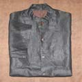 Gambiered Silk Short sleeved womens collar shirts